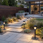 Solar Lawn Lights 🌍